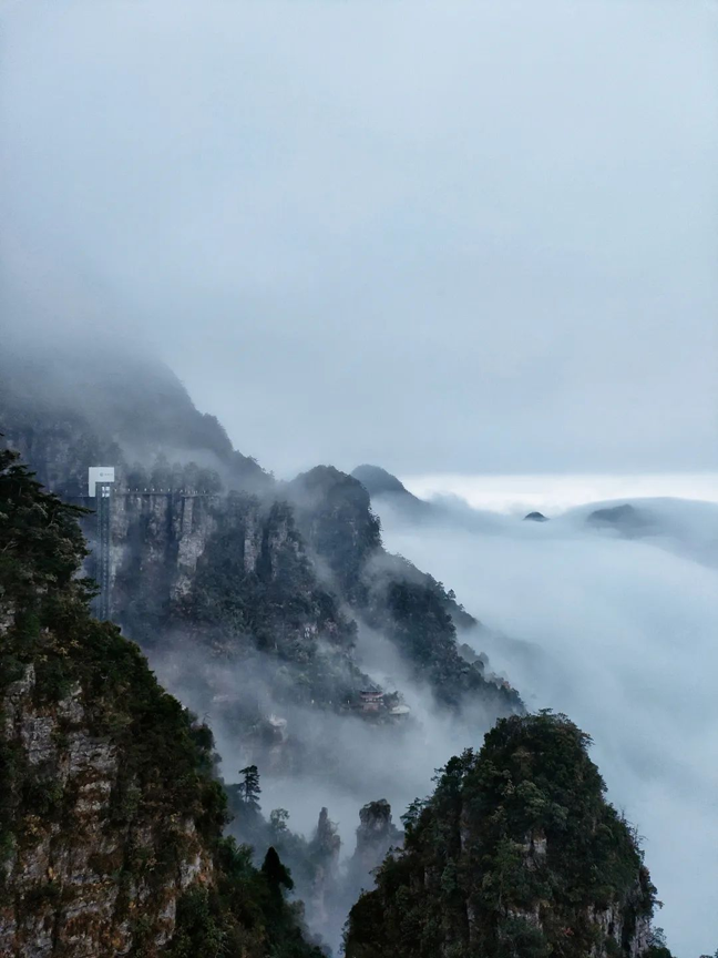 官方推介!涉及鹿寨这些线路和美食→8.png