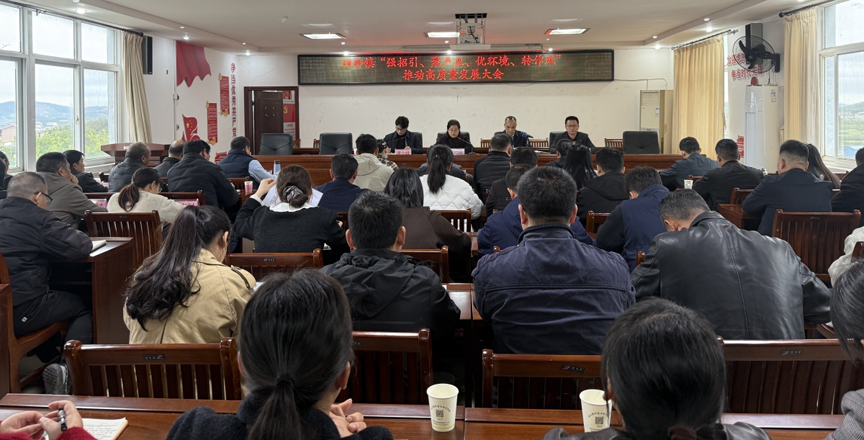 【四排镇】召开“强招引、聚产业、优环境、转作风”推动高质量发展大会3.png