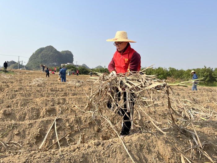 【新时代 新雷锋】县糖业发展中心:助春耕 在行动2.png