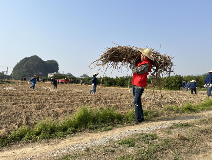 【新时代 新雷锋】县糖业发展中心:助春耕 在行动3.png