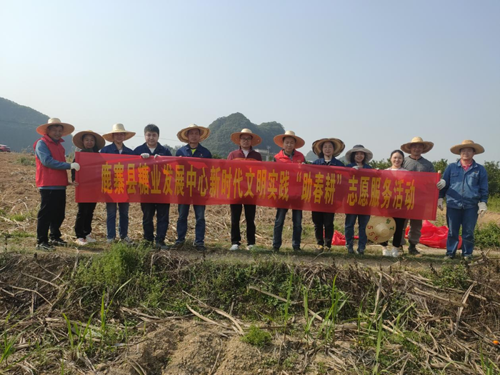 【新时代 新雷锋】县糖业发展中心:助春耕 在行动4.png