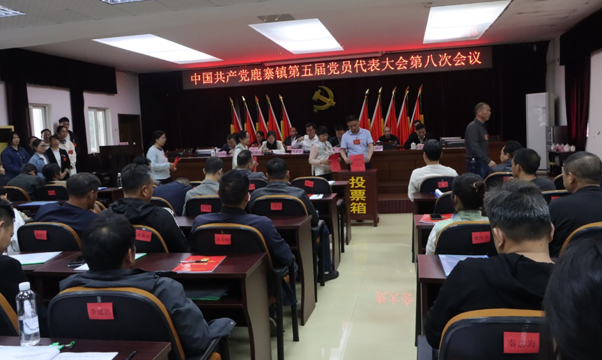 【鹿寨镇】中共鹿寨镇第五届党员代表大会第八次会议胜利召开2.png