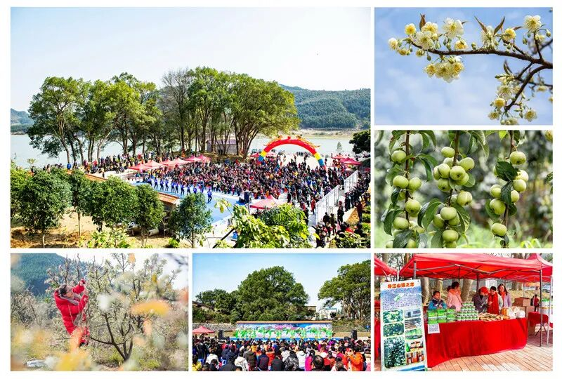 【游在鹿寨】下周六,导江“丰收”大集,等你来逛!16.png