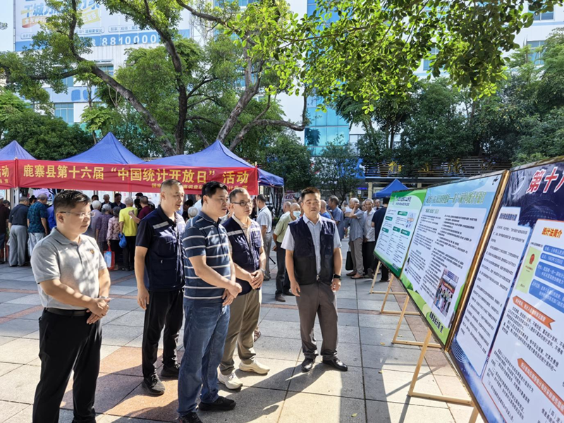 鹿寨县举办第十六届“中国统计开放日”活动2.png