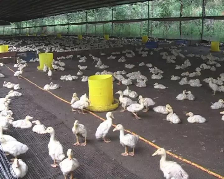 又痛又叫扑U8国际- U8国际官方网站- U8体育APP下载克高清视频