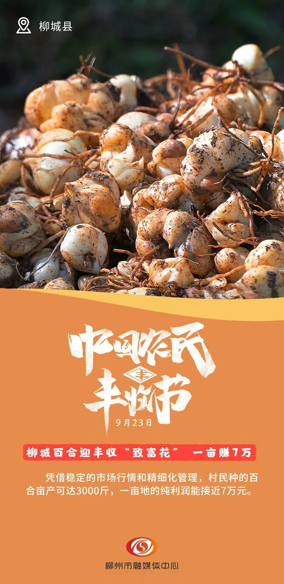 这组丰收画卷,藏着鹿寨甜蜜“钱”景!1.png