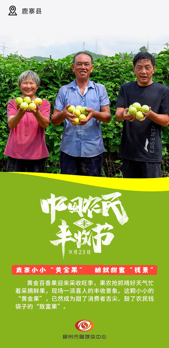 这组丰收画卷,藏着鹿寨甜蜜“钱”景!2.png