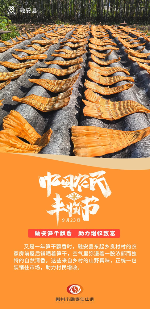 这组丰收画卷,藏着鹿寨甜蜜“钱”景!3.png