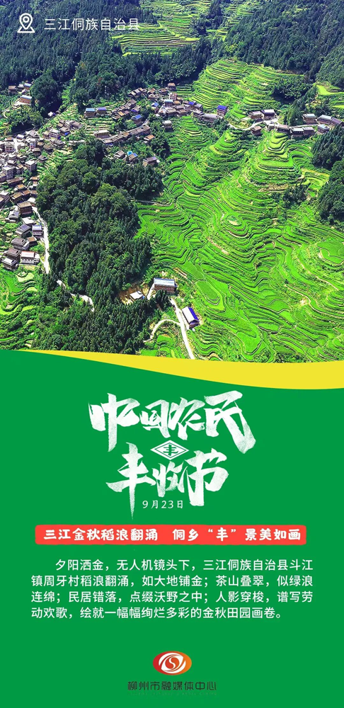 这组丰收画卷,藏着鹿寨甜蜜“钱”景!4.png