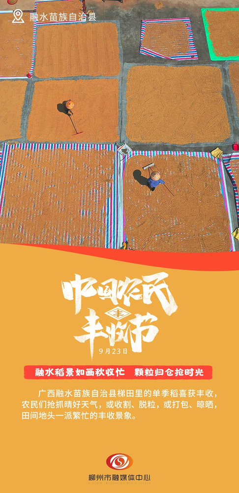 这组丰收画卷,藏着鹿寨甜蜜“钱”景!5.png