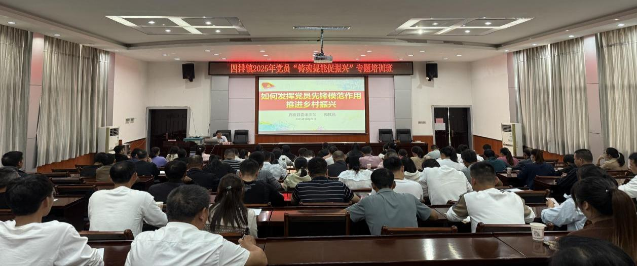 淬炼先锋力量 赋能乡村振兴3.png