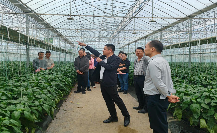 淬炼先锋力量 赋能乡村振兴11.png