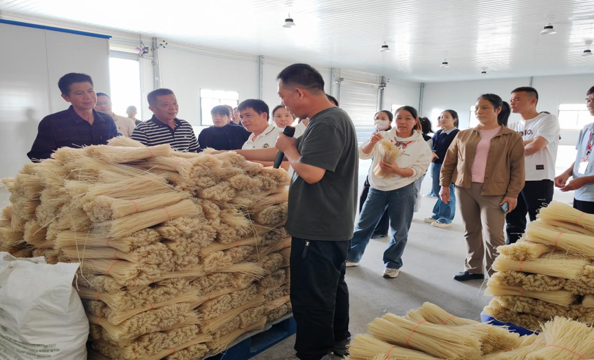 淬炼先锋力量 赋能乡村振兴13.png