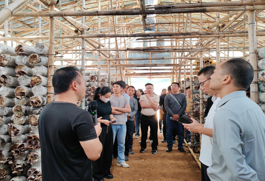 淬炼先锋力量 赋能乡村振兴14.png