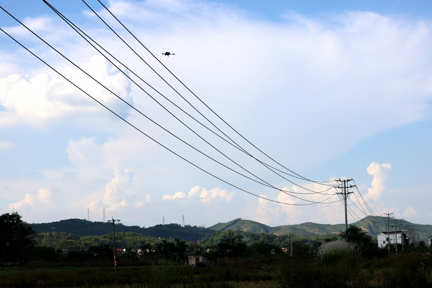 无人机“智慧巡检” 提升电网运维质效1.png