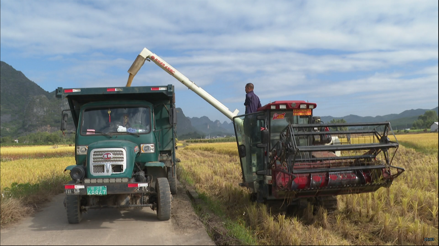 【乡村振兴】我县晚稻收割进入尾声4.png