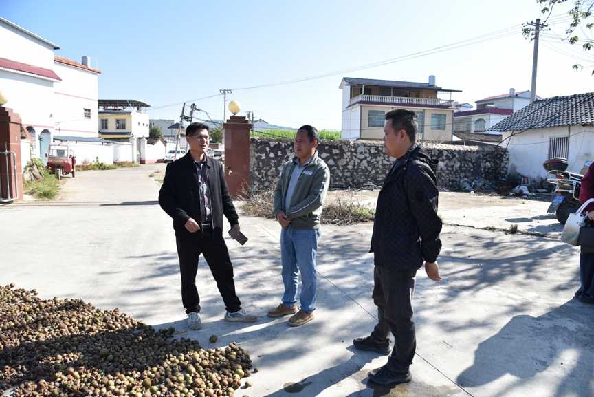 【乡村振兴】农闲剥茶籽 增收乐融融5.png