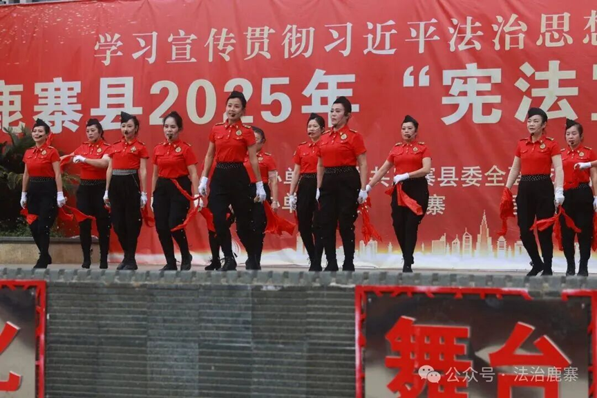 鹿寨县:多形式掀起宪法宣传热潮 让宪法精神深入人心2.png