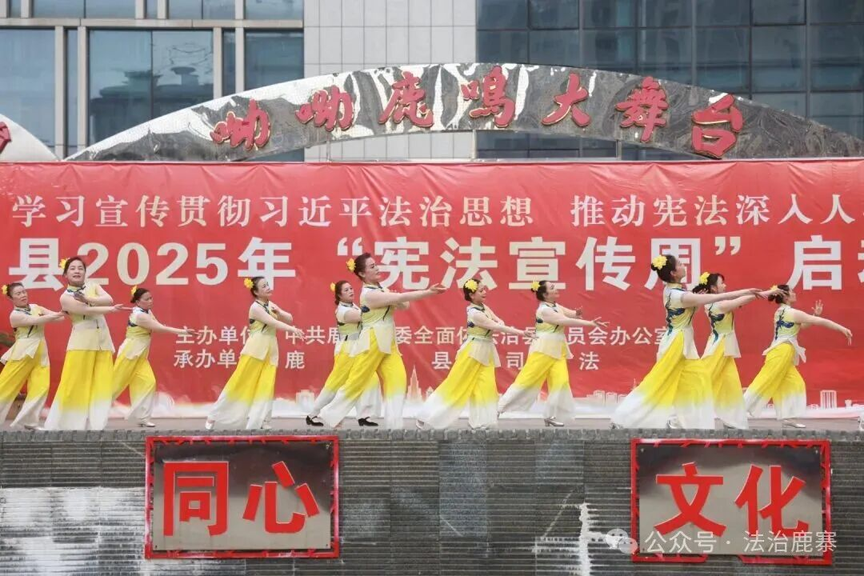 鹿寨县:多形式掀起宪法宣传热潮 让宪法精神深入人心3.png