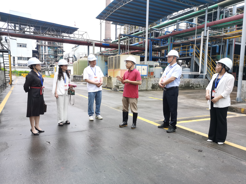 3 图为鹿寨县工业园区代表联络站轻工行业专业小组深入企业了解生产情况.jpg