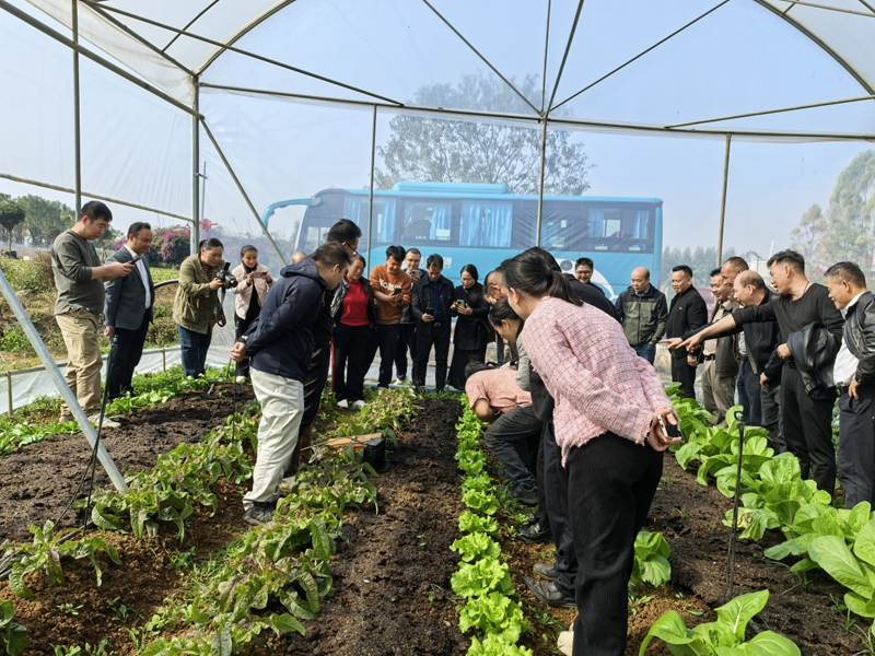 【乡村振兴】开展设施农业调研 赋能乡村产业振兴4.png