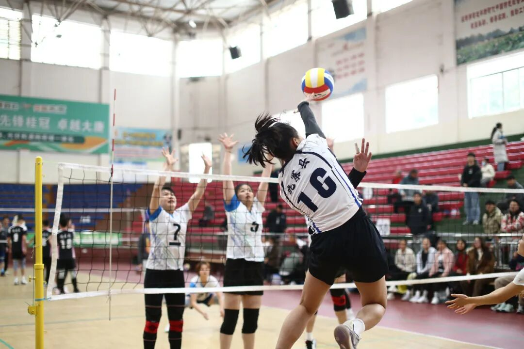 气排球邀请赛在鹿寨县城北体育馆开幕!6.png