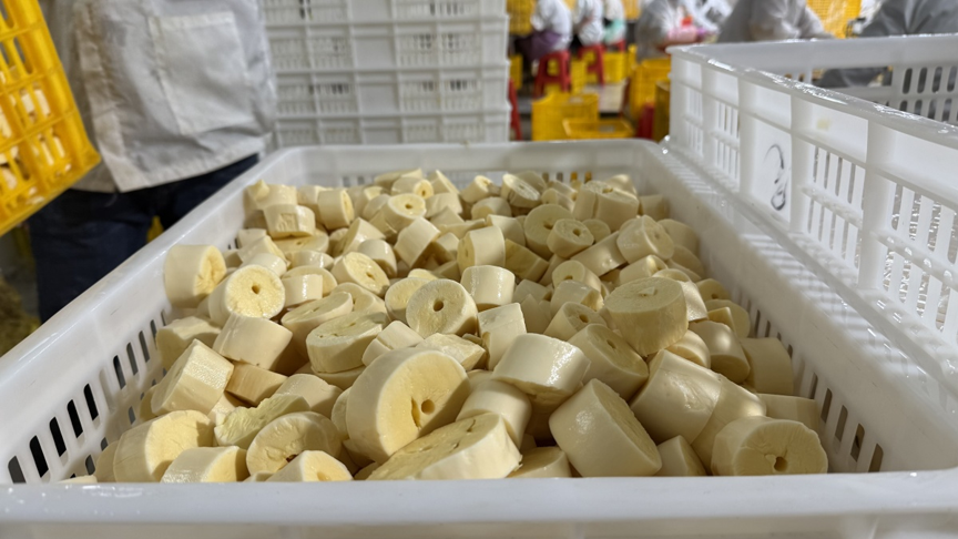 【乡村振兴】产业链上结“硕果” 联农带农共致富2.png