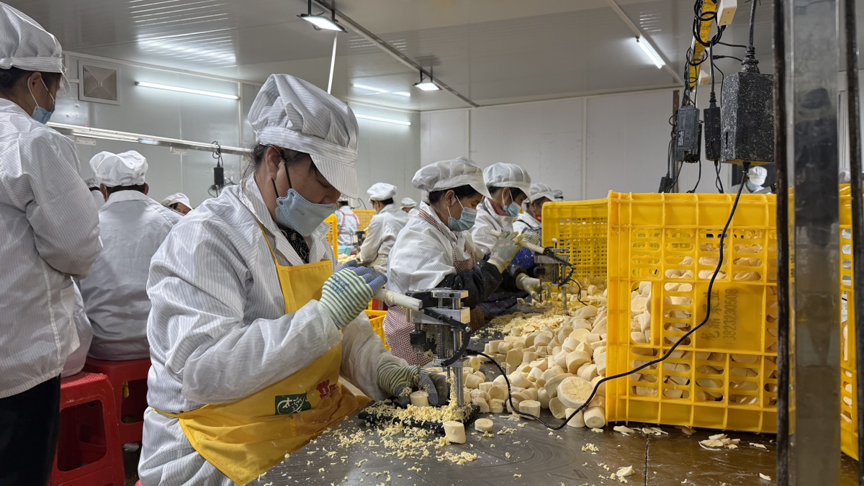 【乡村振兴】产业链上结“硕果” 联农带农共致富3.png