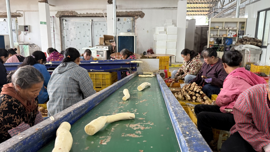 【乡村振兴】产业链上结“硕果” 联农带农共致富4.png