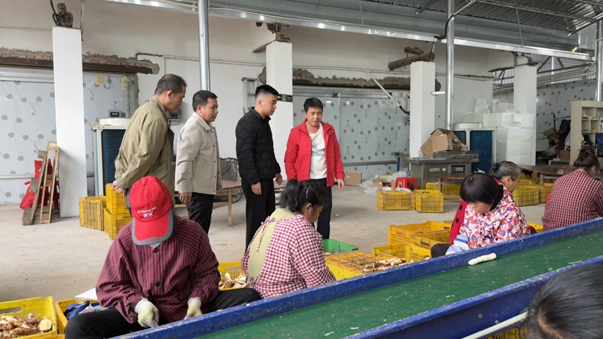 【乡村振兴】产业链上结“硕果” 联农带农共致富5.png