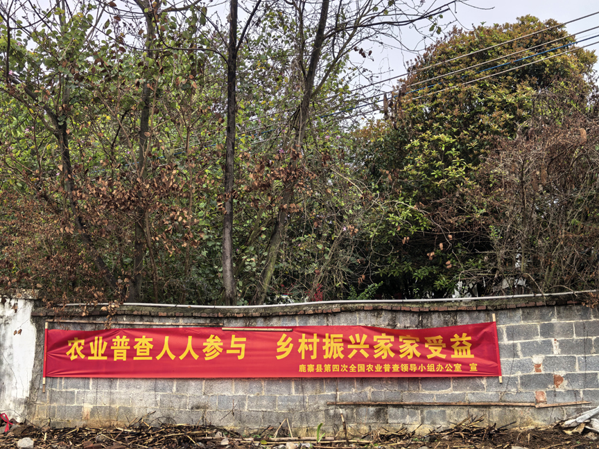 【“四农普”宣传】鹿寨县扎实推进第四次全国农业普查综合试点工作,入户登记进入冲刺阶段1.jpg