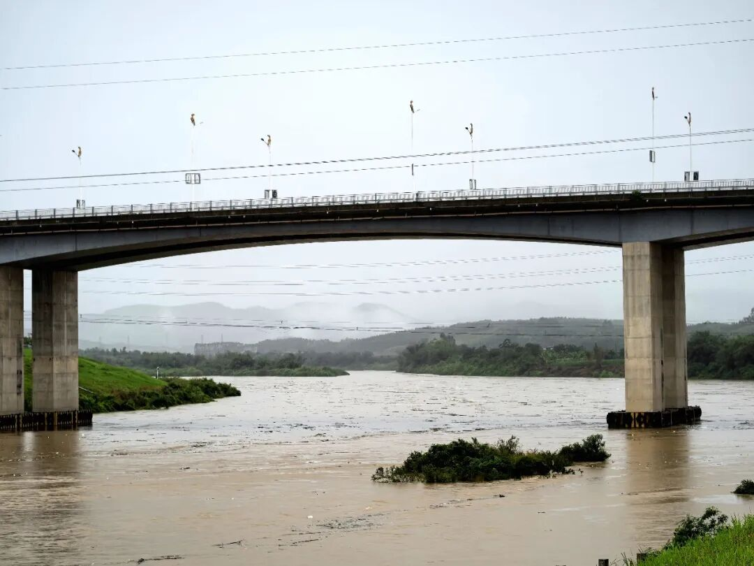 鹿寨持续强降雨 河流水位上涨未超警戒1.png