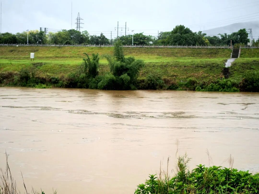 鹿寨持续强降雨 河流水位上涨未超警戒2.png