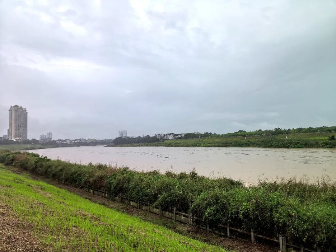 鹿寨持续强降雨 河流水位上涨未超警戒3.png