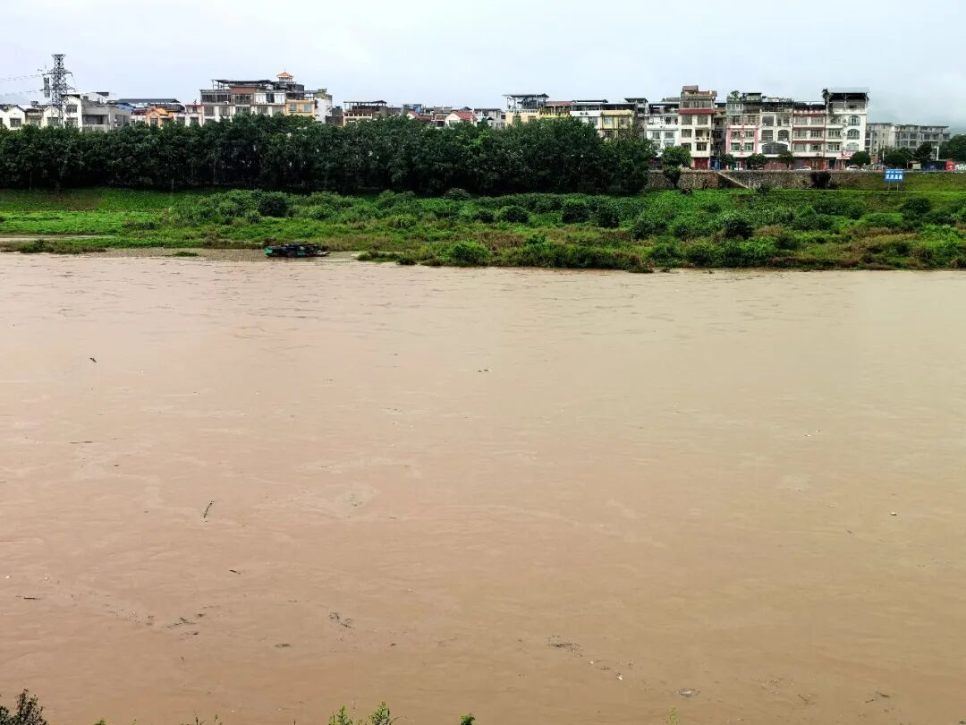 鹿寨持续强降雨 河流水位上涨未超警戒6.png