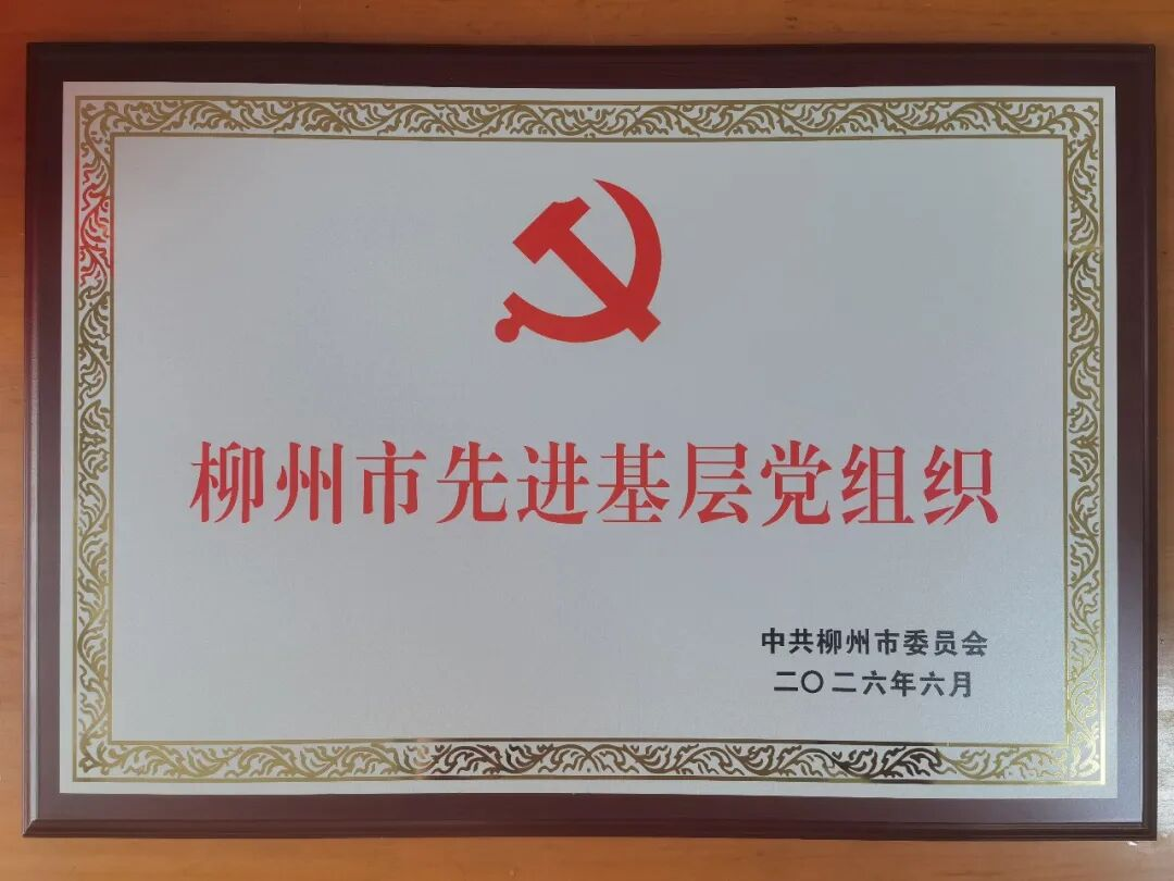 【榜样】柳州市先进基层党组织——中共鹿寨县委组织部支部委员会1.png