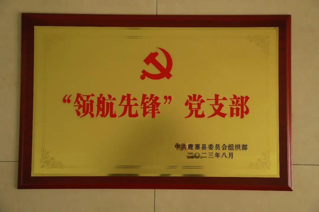 【榜样】柳州市先进基层党组织——中共鹿寨县委组织部支部委员会4.png