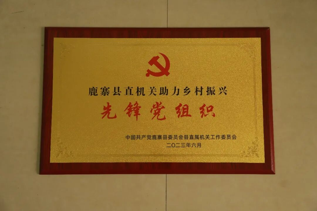 【榜样】柳州市先进基层党组织——中共鹿寨县委组织部支部委员会5.png