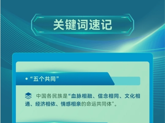 【国家安全】一图读懂《中华人民共和国民族团结进步促进法》9.png