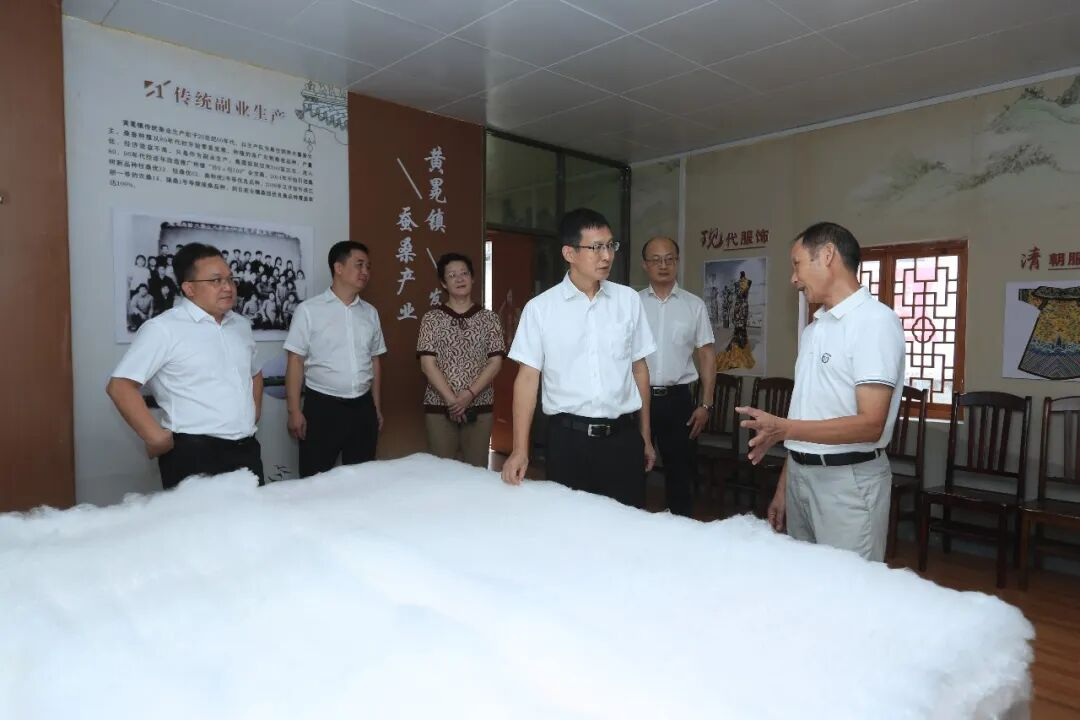 市人大调研组来鹿调研2.png