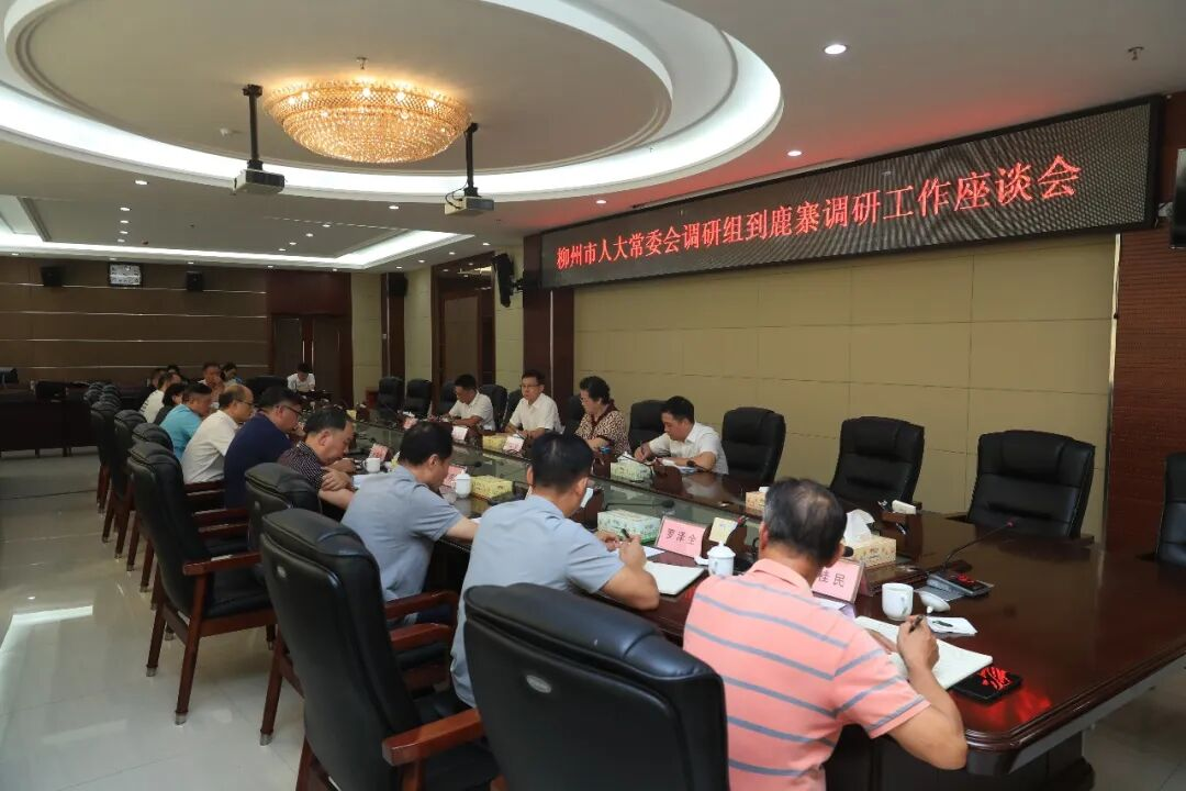 市人大调研组来鹿调研4.png