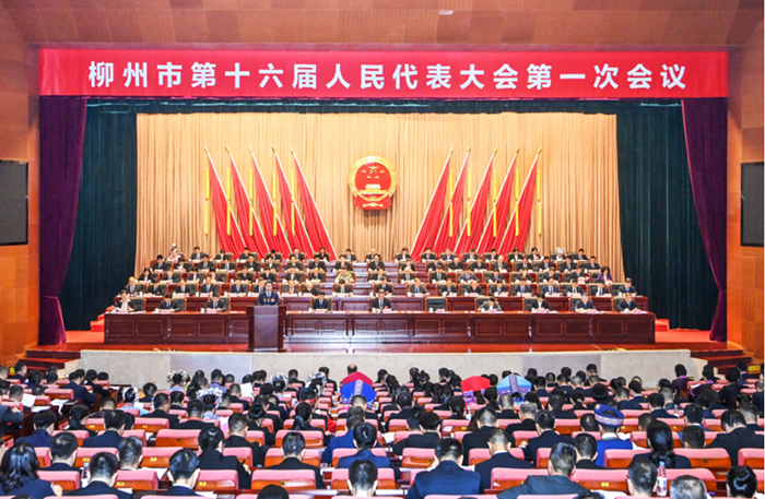 市十六届人大一次会议开幕1.png