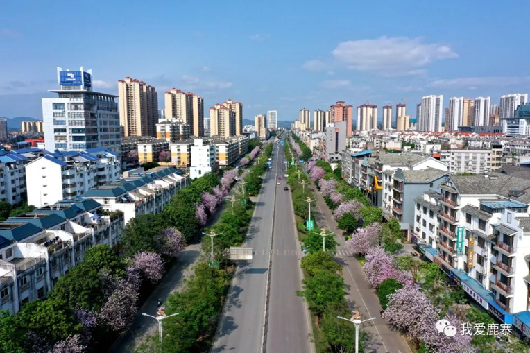 【创文明城市】你发现咩?鹿寨变化好大!2.png