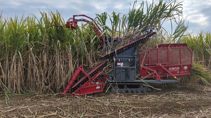 【乡村振兴】效率拉满!鹿寨蔗田高端设备硬核上阵2.png