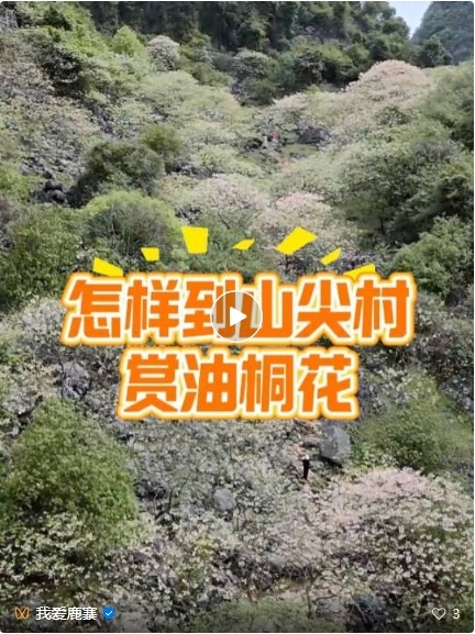 【游在鹿寨】约起来!鹿寨千亩油桐美到窒息11.png