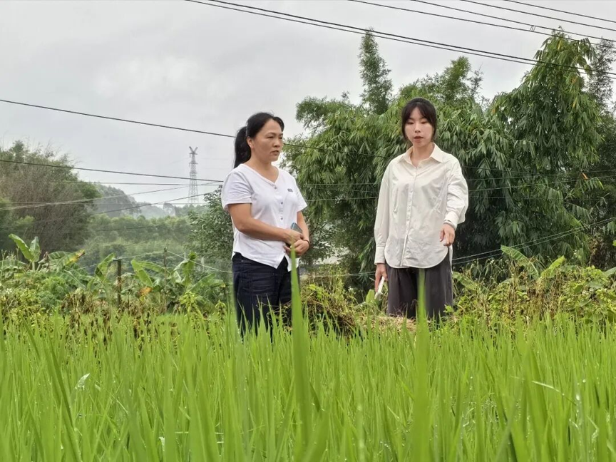 【人大代表风采】刘颖茜:立足“三农”岗位,履职为民助力乡村振兴2.png