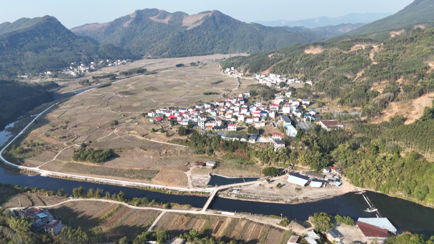 【榜样】“好支书”覃丽艳,为村民办了这些实事→2.png