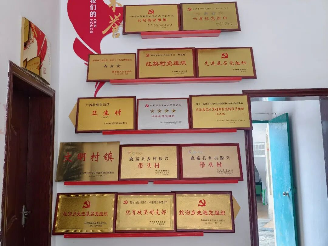 【人大代表风采】罗寒春:构建多元特色产业集群 书写履职为民生动答卷7.png