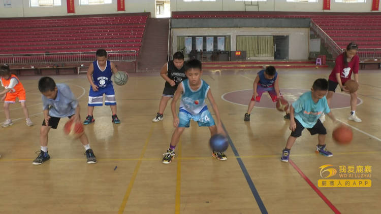 篮球公益培训 放飞篮球梦想3.png