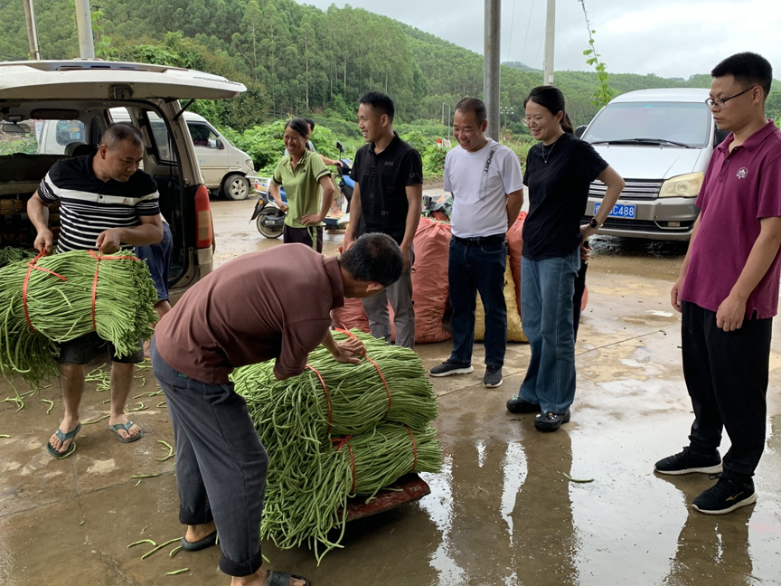 【食品安全】豇豆有了“身份证” 全程追溯放心吃4.png